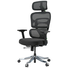 Axion Ergonomic Gaming Chair