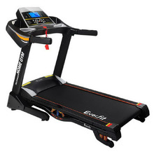 Garin Electric Treadmill