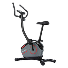 Sabryna Exercise Bike