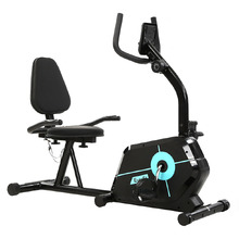 Aina Recumbent Bike