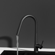 Arthur Swivel Pull-Out Kitchen Mixer