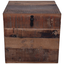 Natural Astrid Mango Wood Trunk