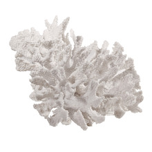 Large Faux Coral Table Accent
