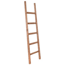 Paviel Recycled Elm Wood Decorative Ladder