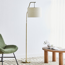 Aneirin Iron Suspended Floor Lamp