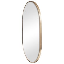 90cm Nova Oval Aluminium Wall Mirror