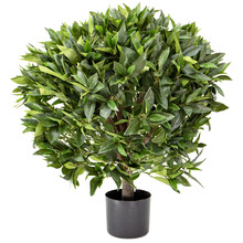 75cm Potted Faux Bay Leaf Topiary