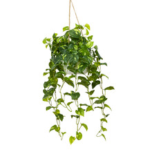104cm Potted Faux Hanging Pothos Bush