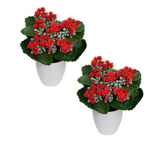 20cm Red Potted Faux Kalanchoe (Set of 2)