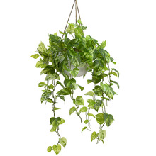 104cm Faux Marble Pothos Bush in Hanging Planter