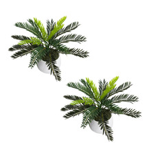 35cm Potted Faux Cycas Plants (Set of 2)