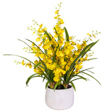 76cm Potted Faux Dancing Lady Orchid Plant