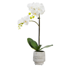 52cm Potted Faux Orchid Plant