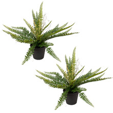 34cm Potted Faux Ruffle Fern Plants (Set of 2)