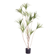 190cm Potted Faux Draecena Plant