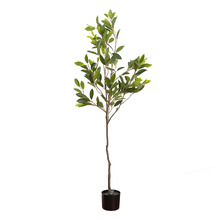 158cm Potted Faux Camellia Tree