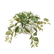 32cm Potted Faux Wandering Jew Bush Plant