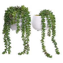 2 Piece Green Potted Faux Hanging Pearl Plant Set