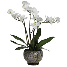 60cm Faux Orchid with Vase