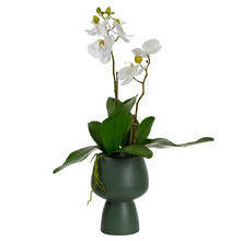 70cm Green Faux Orchid with Pedestal Vase