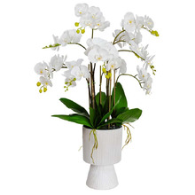 85cm White Faux Orchid with Pedestal Vase
