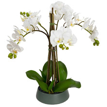 48cm Faux Orchid with Bowl