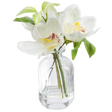 22cm Faux Cymbidium Orchid with Glass Vase