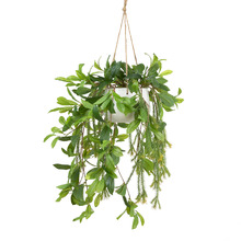 103cm Potted Faux Hanging Laurel