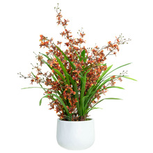 78cm Faux Orange Dancing Lady Orchid Plant in Pot
