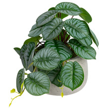 17cm Potted Faux Calathea Bush Plant