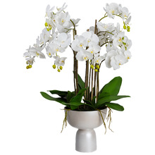 92cm Faux Orchid with Pedestal Vase