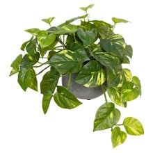 32cm Potted Faux Pothos Plant in Ceramic Pot
