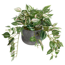 32cm Potted Faux Wandering Jew Bush Plant