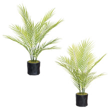 63cm Potted Faux Butterfly Palm Plants (Set of 2)