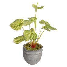 20cm Green Potted Faux Begonia Bush Plant