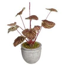 20cm Burgundy Potted Faux  Begonia Bush Plant