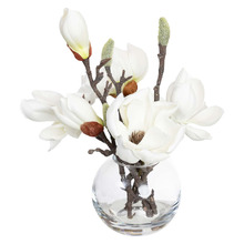 25cm White Faux Magnolia with Glass Vase