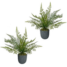 34cm Potted Faux Ruffle Fern Plants (Set of 2)