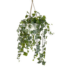 100cm Potted Faux Hanging Philo Bush