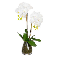 62cm Faux Orchid with Vase