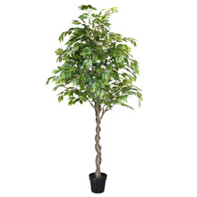 240cm Potted Faux Ficus Tree