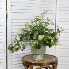 50cm Potted Faux Fern Mixed Arrangement