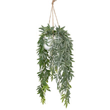 114cm Potted Faux Hanging Ruscus Plant