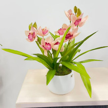 43cm Cream Potted Faux Cymbidium Plant