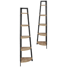 Trinett 5 Tier Corner Shelves (Set of 2)
