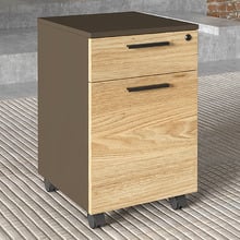 Allen 1 Drawer 1 Door Mobile Pedestal