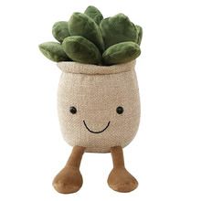 Natural Cactus Face Plush Toy