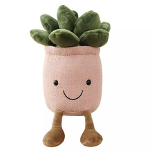 Pink Cactus Face Plush Toy