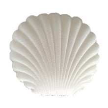 Clam Velvet Jewellery Case