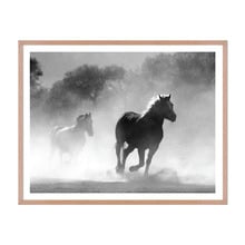 Equine Dust Framed Wall Art